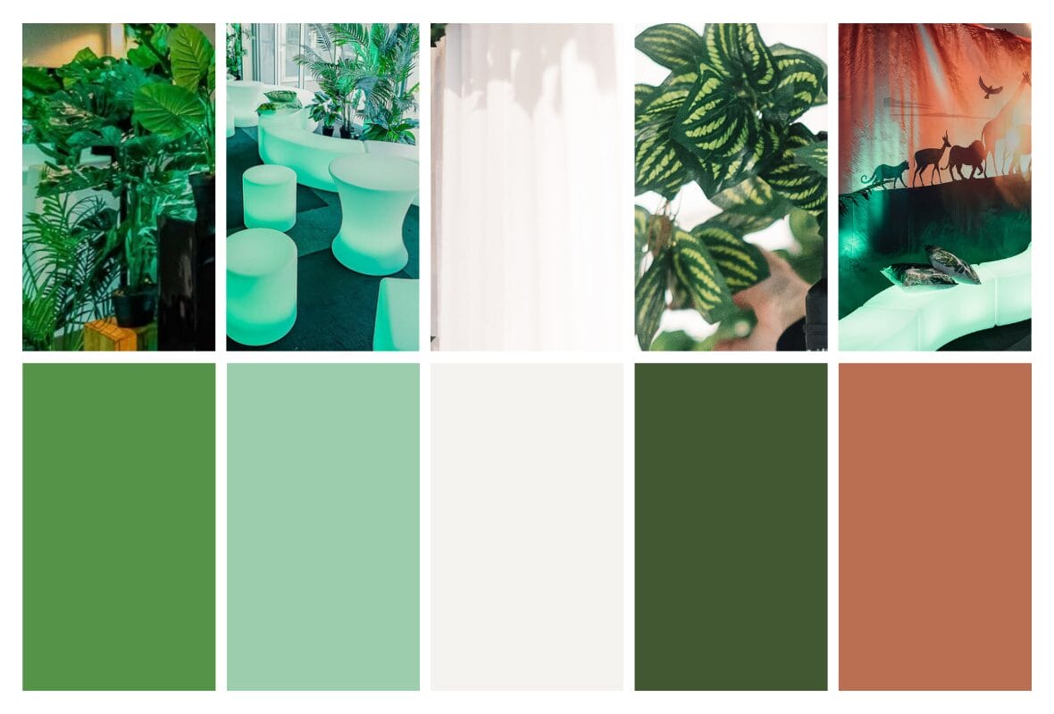 popular colours for a jungle theme