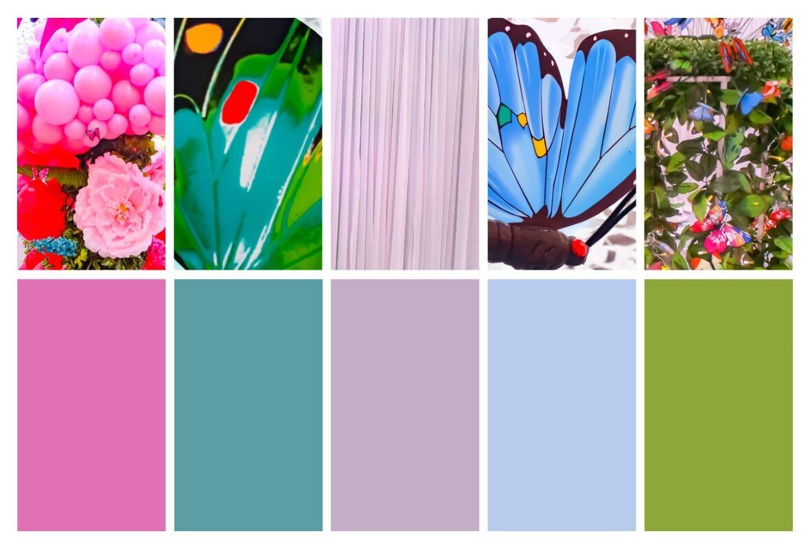 popular colours for a butterfly theme