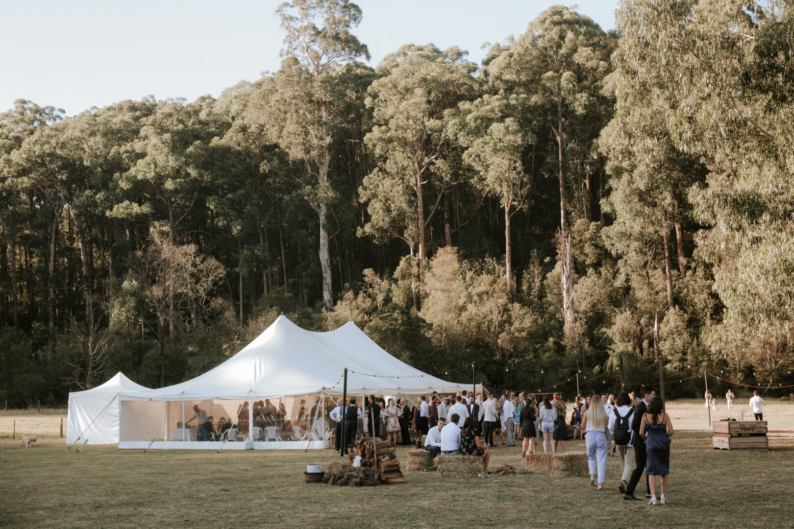 Peg and pole marquee setup for outdoor wedding