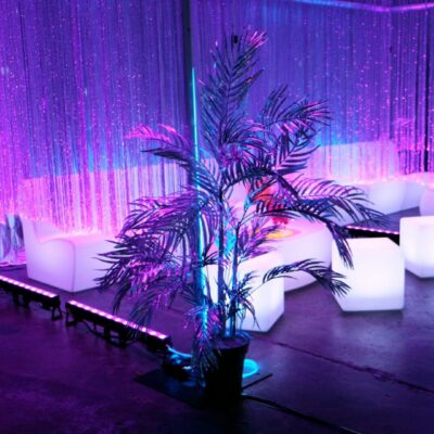 curtain, illuminated furniture, coloured lights Party decorating budget