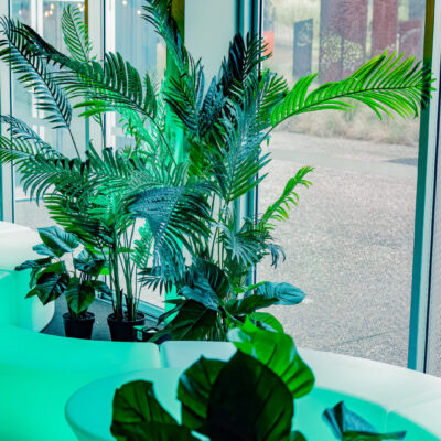 greenery and illuminated furniture jungle theme Artificial plants